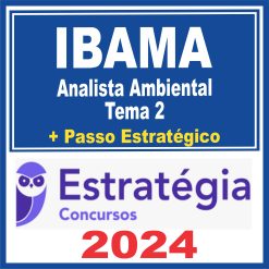 ibama-anal-amb-tema-2