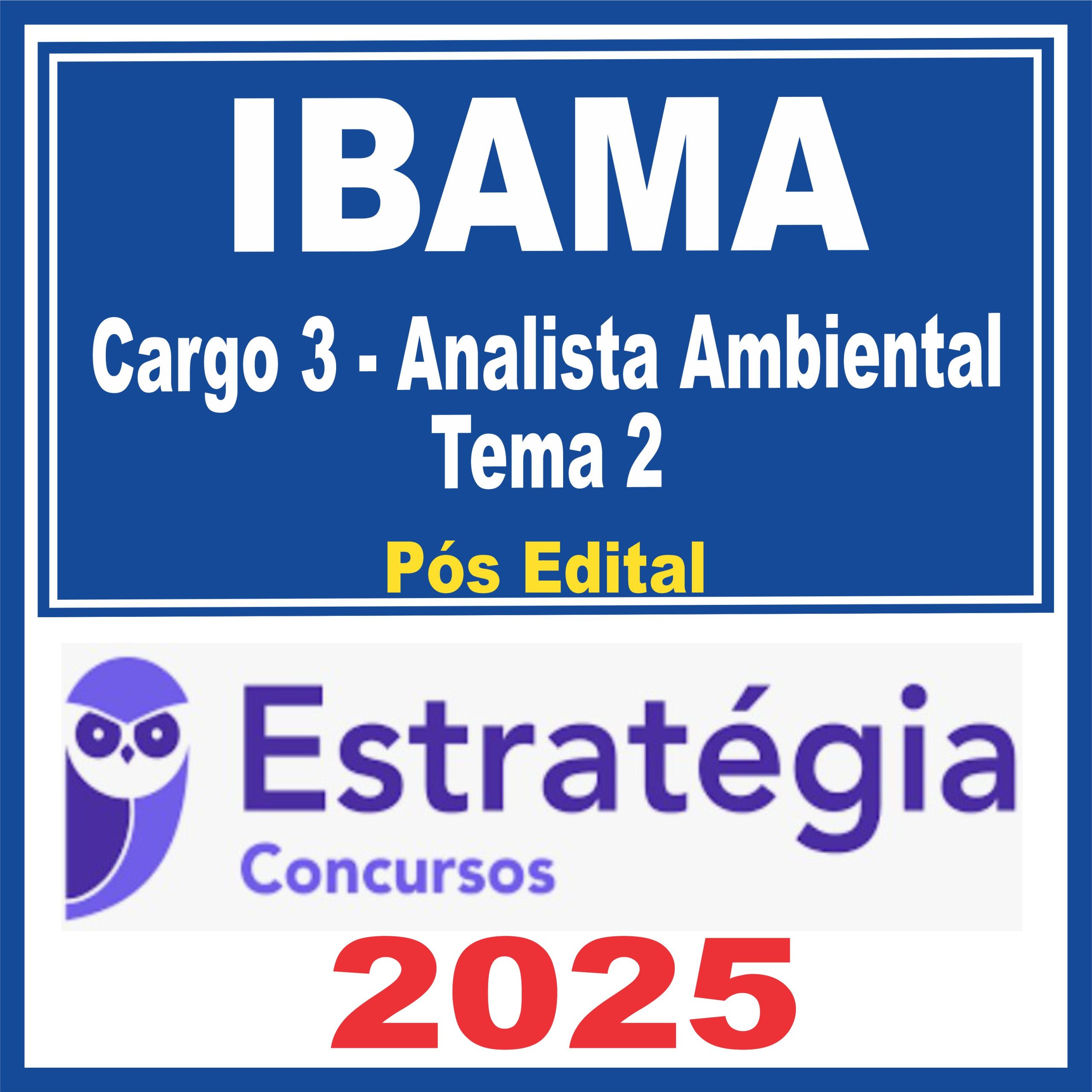 ibama-cargo-3-tema-2