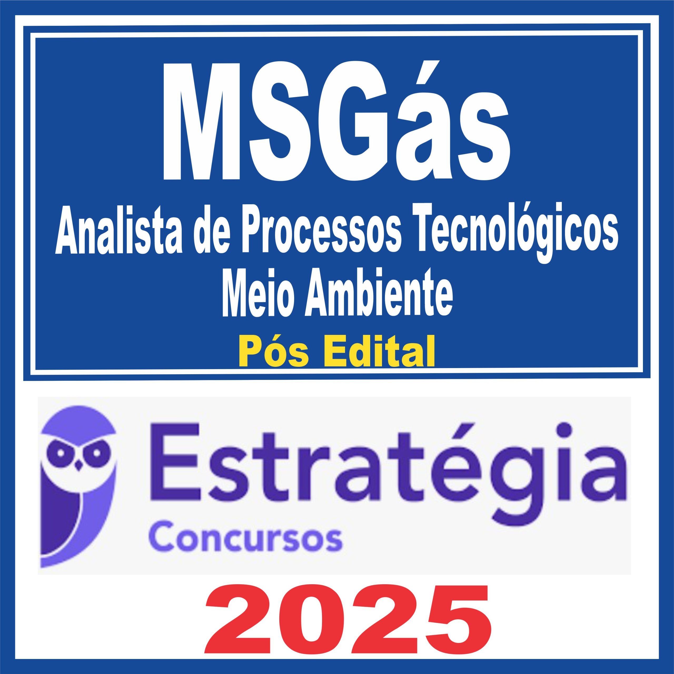 msgas-ana-meio-amb