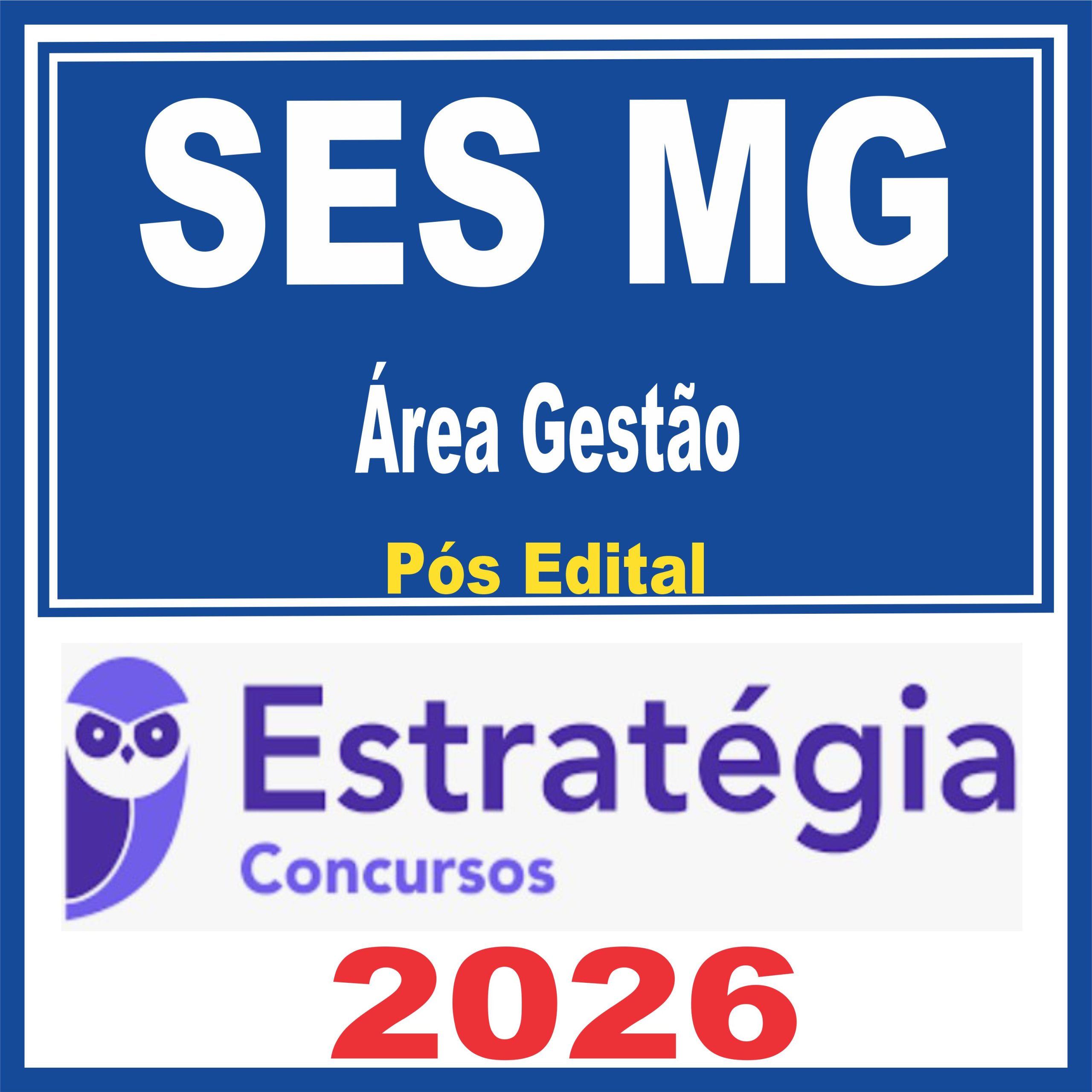 ses-mg-gestao